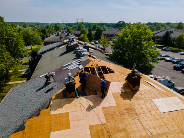 Best Residential Roof Replacement  in Myrtle Grove, FL