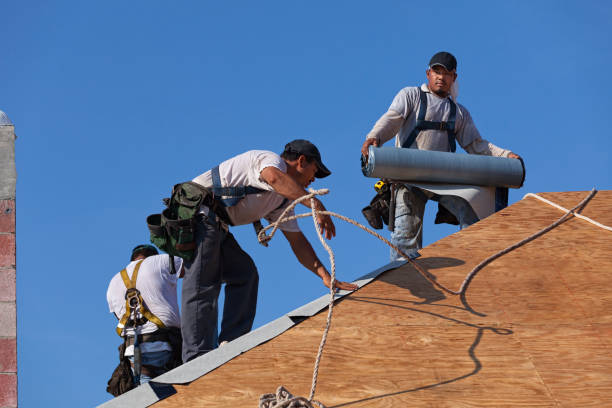 Best Storm Damage Roof Repair  in Myrtle Grove, FL