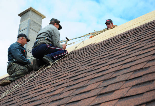 Best Shingle Roofing Installation  in Myrtle Grove, FL